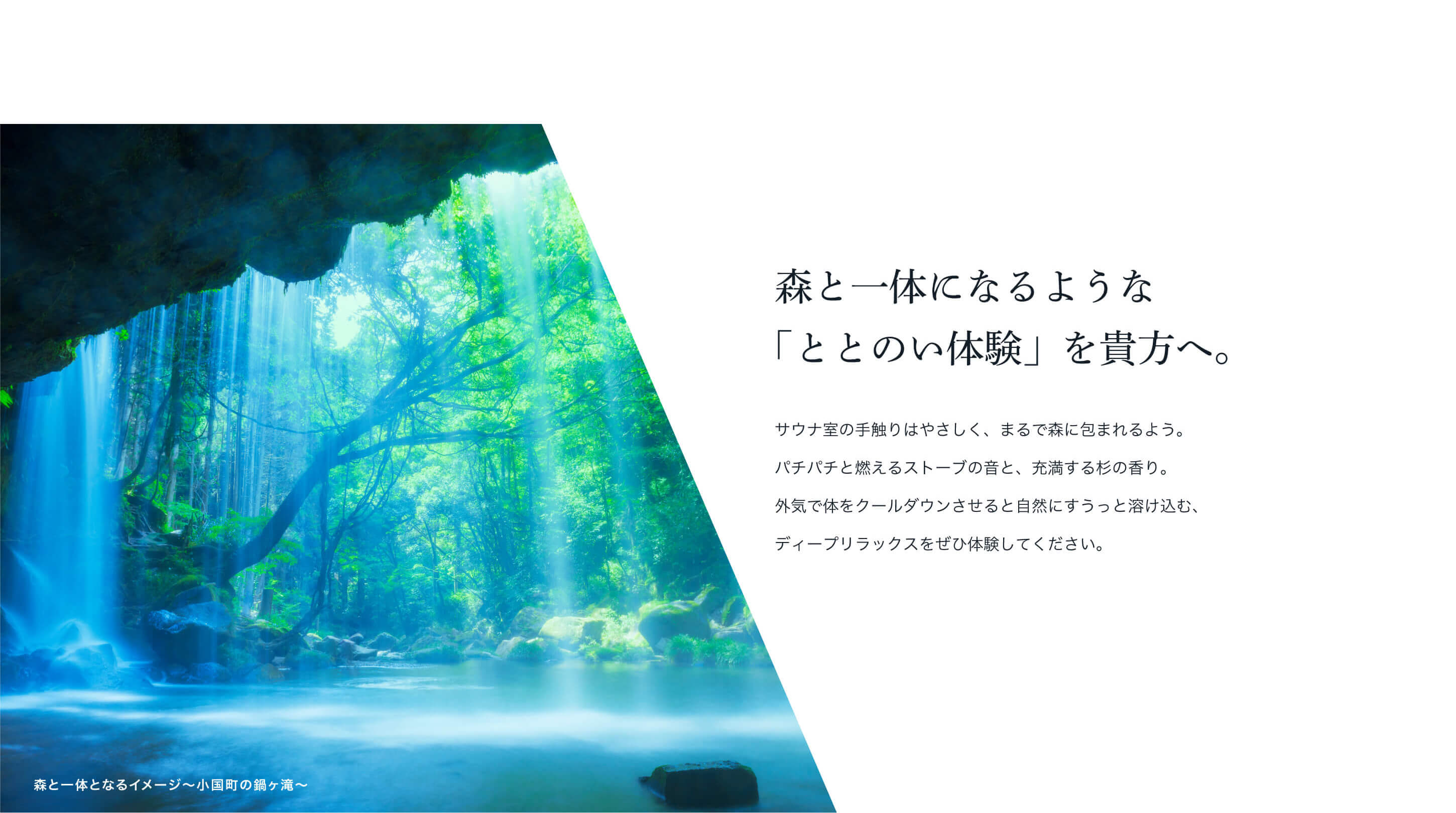 森と一体になるような「ととのい体験」を貴方へ。