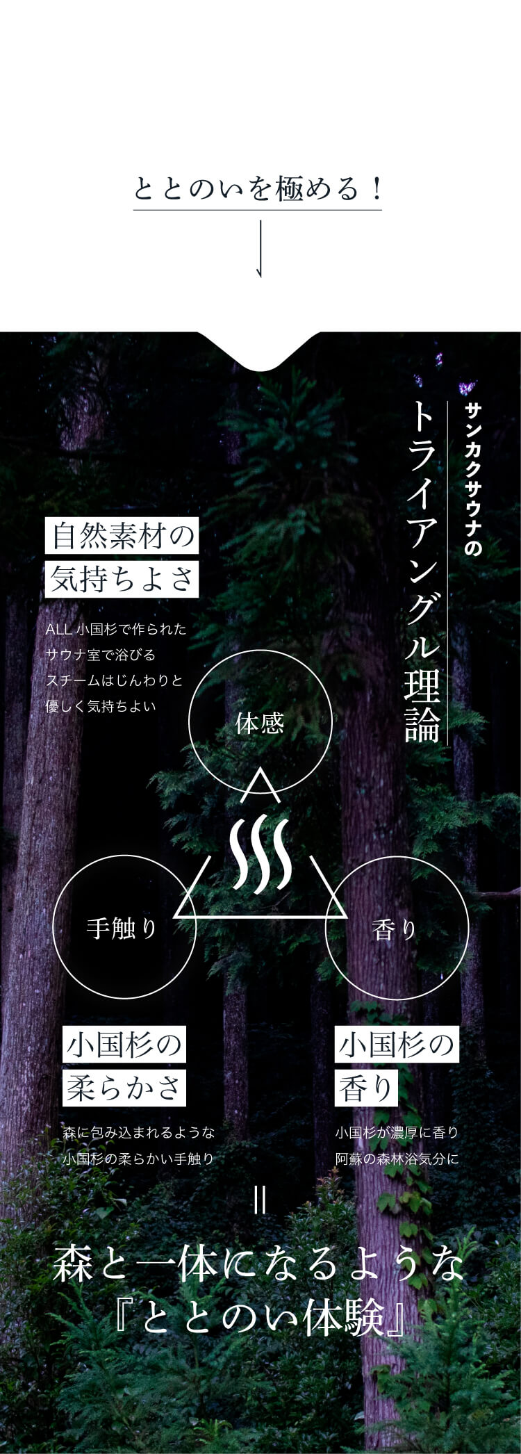 サンカクサウナのトライアングル理論　森と一体になるような『ととのい体験』